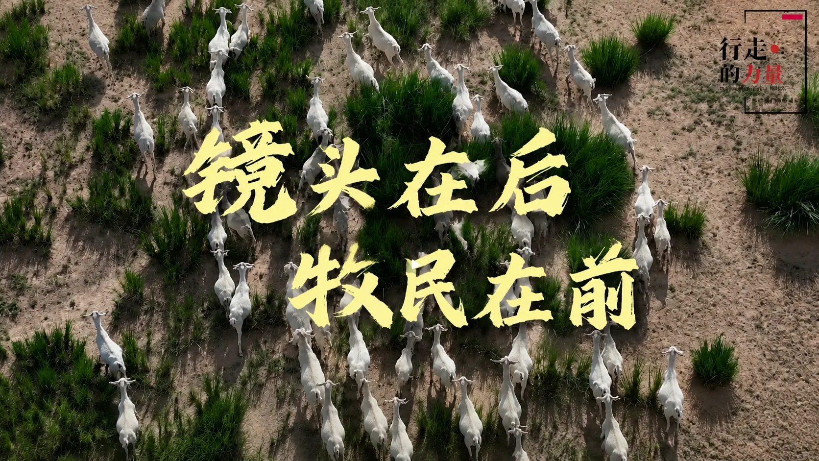 The Power of Walking: Herders Take the Lead